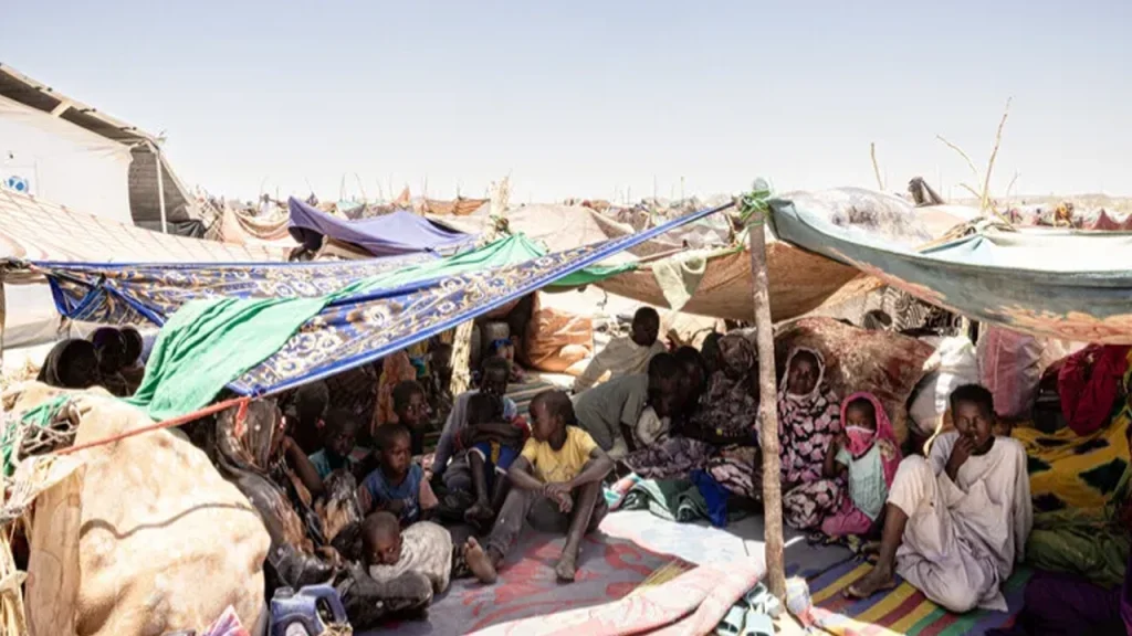 সুদান এল ফাশেরে ১৪ হাজারের বেশি বেসামরিক নিহত